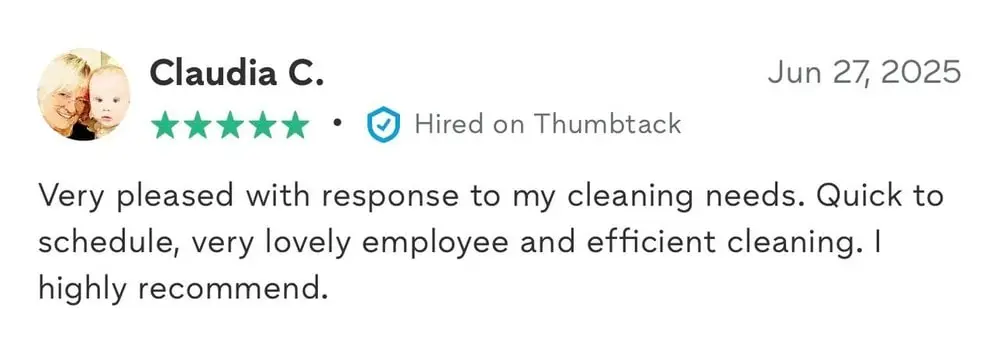 cleanfoxcleaning.com review