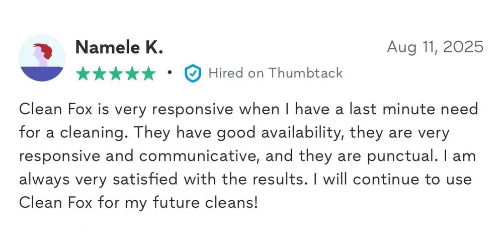 cleanfoxcleaning.com review