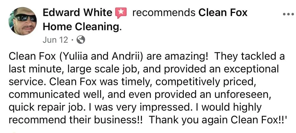 cleanfoxcleaning.com review