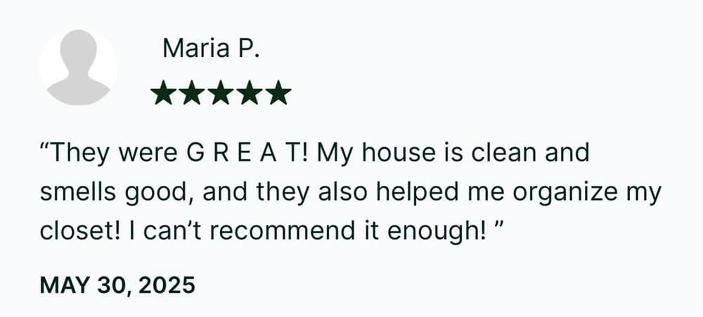 cleanfoxcleaning.com review