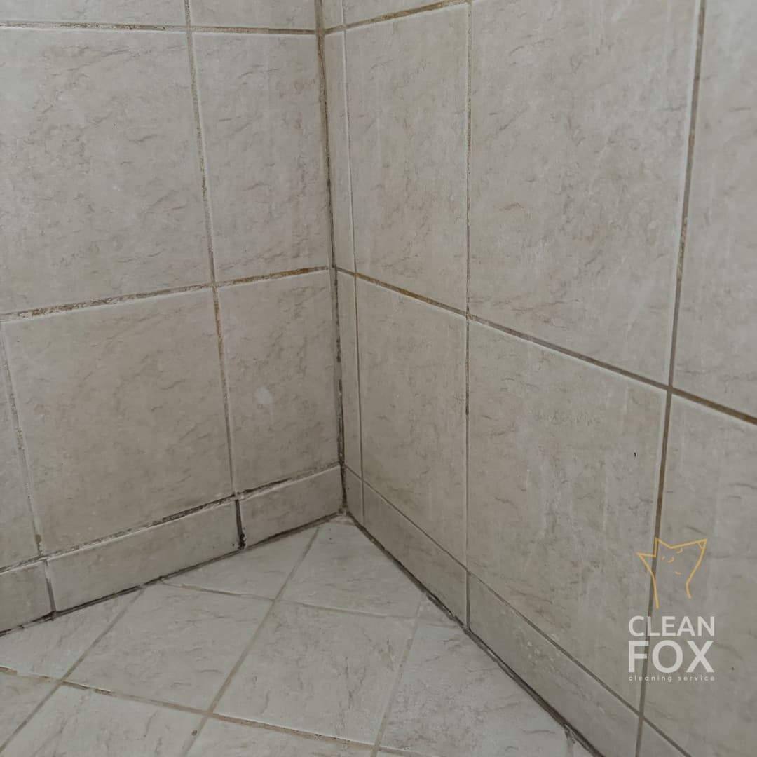 Before cleaning